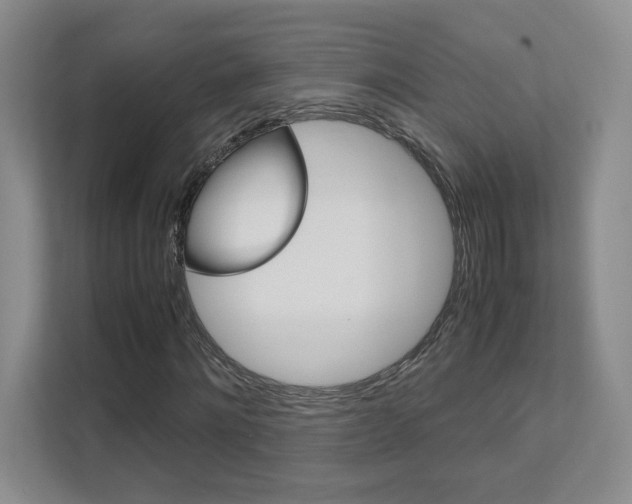 X0000111680868200907171502