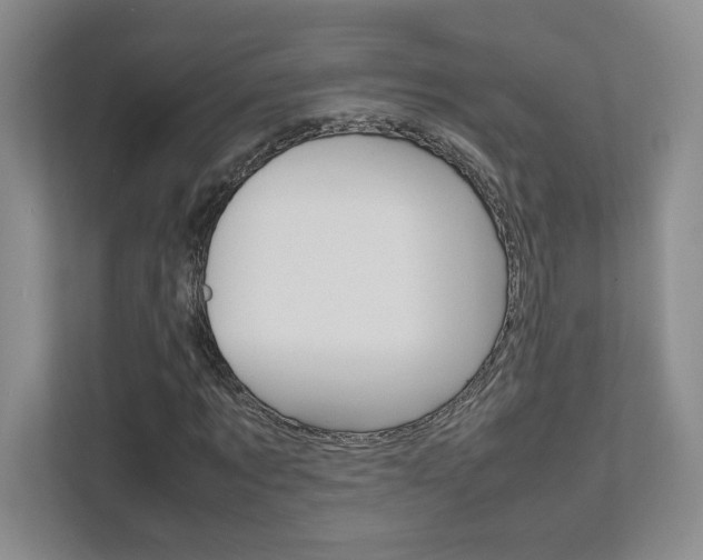 X0000111680869200907171502