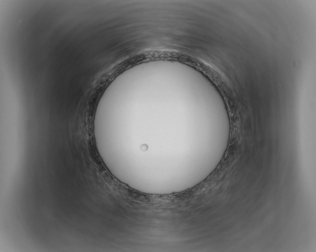 X0000111680870200907171502