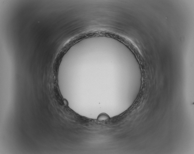 X0000111680871200907171502