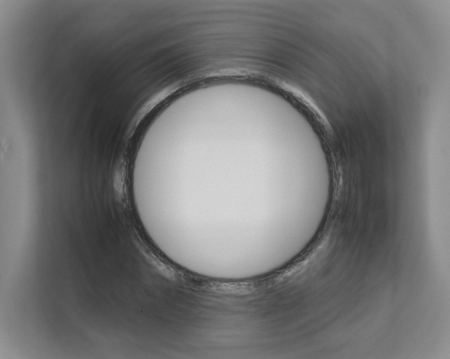 X0000111680874200907171502