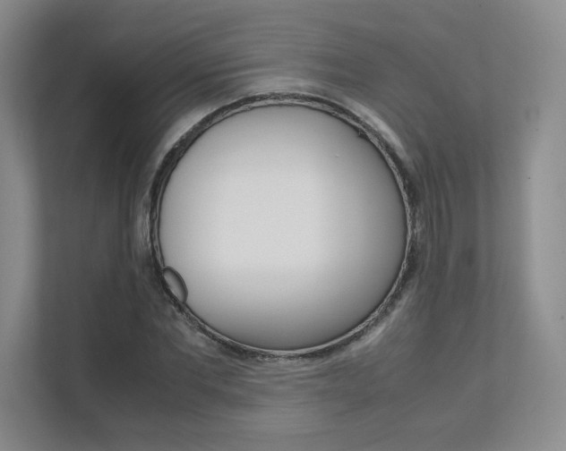 X0000111680877200907171502