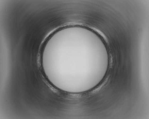 X0000111680878200907171502