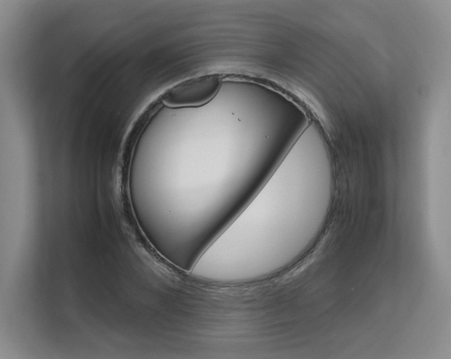 X0000111680880200907171502