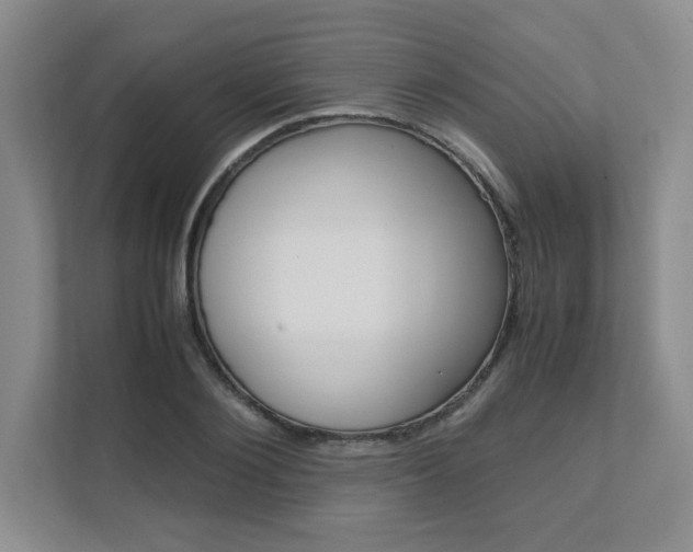 X0000111680884200907171502