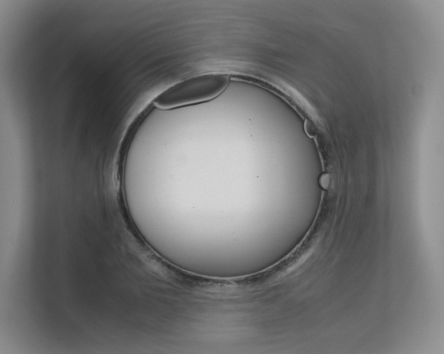 X0000111680885200907171502