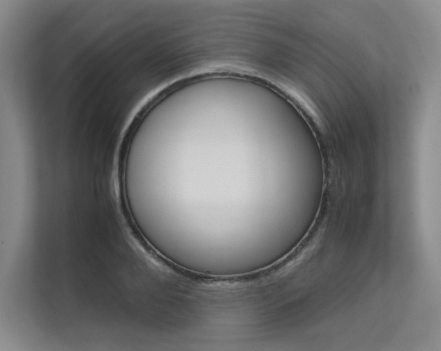 X0000111680888200907171502