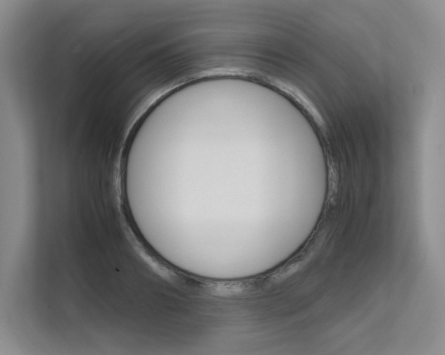 X0000111680890200907171502