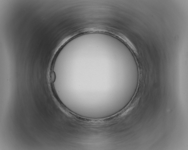 X0000111680893200907171502