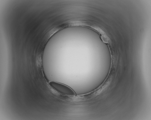 X0000111680897200907171502