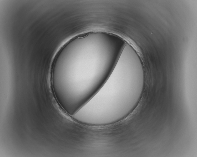 X0000111680904200907171502