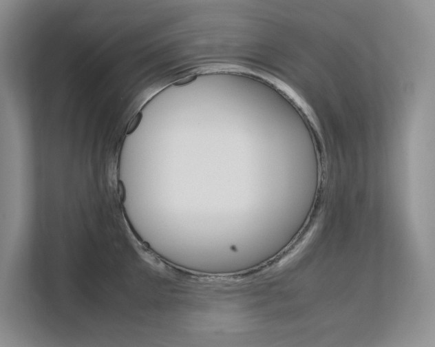 X0000111680905200907171502