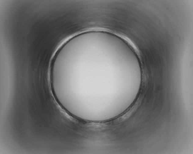 X0000111680910200907171502