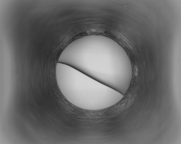 X0000111680915200907171501