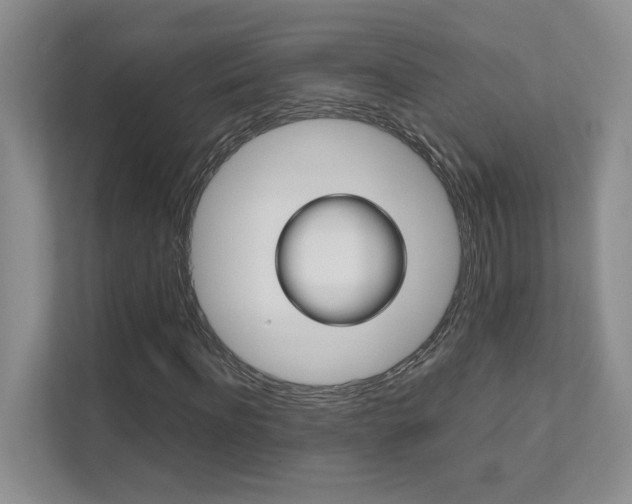 X0000111680916200907171501