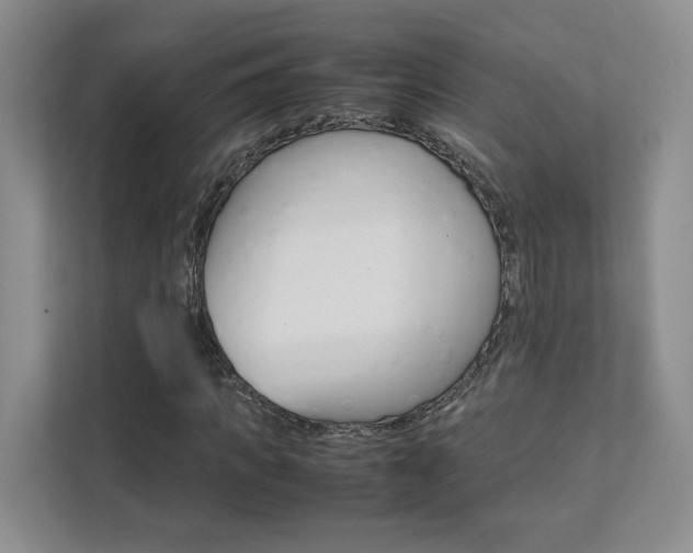 X0000111680917200907171501
