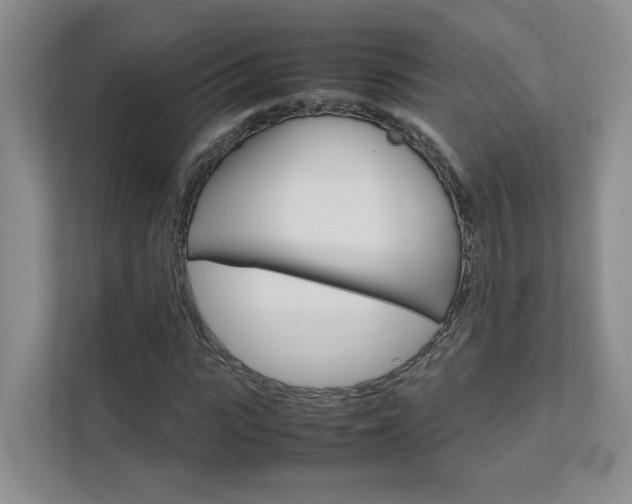 X0000111680919200907171501