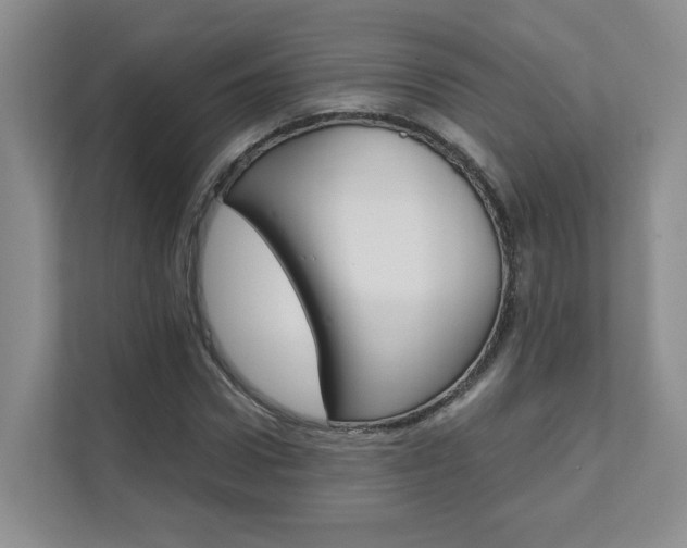 X0000111680922200907171501