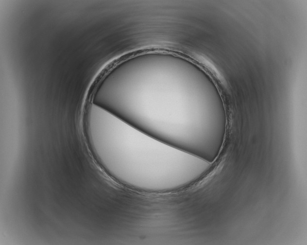 X0000111680924200907171501