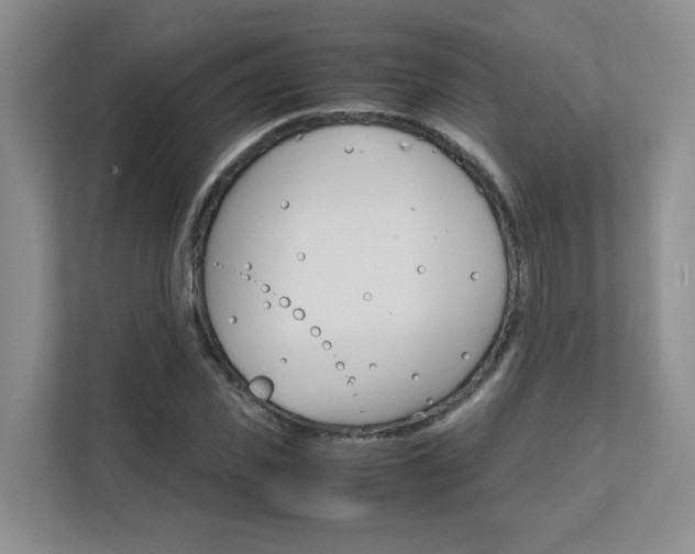 X0000111680925200907171501