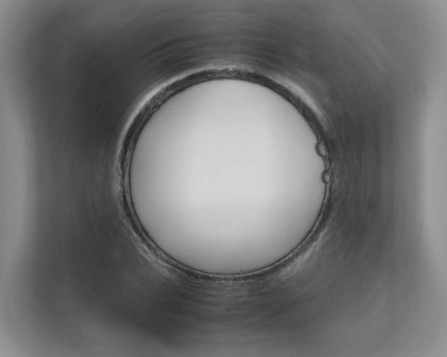 X0000111680927200907171501
