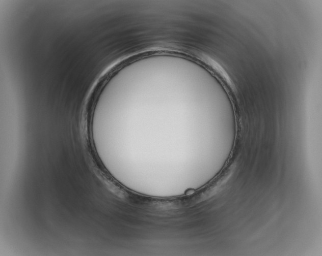 X0000111680931200907171501