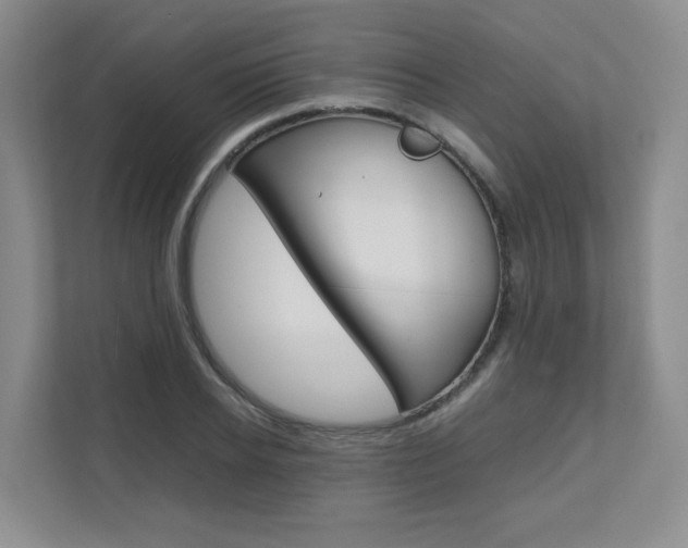 X0000111680934200907171501