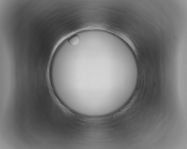 X0000111680936200907171501