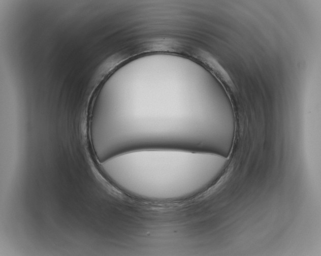 X0000111680938200907171502