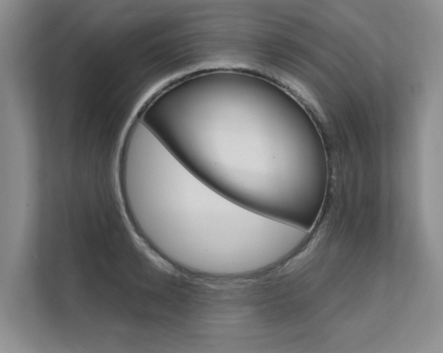 X0000111680942200907171502