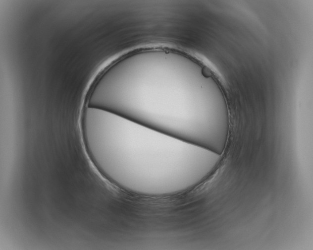 X0000111680943200907171502