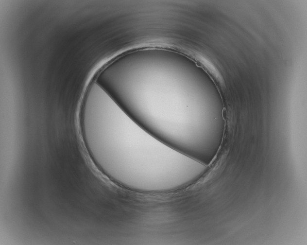 X0000111680944200907171502