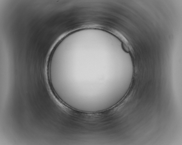 X0000111680947200907171502
