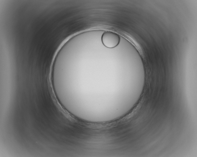 X0000111680948200907171502