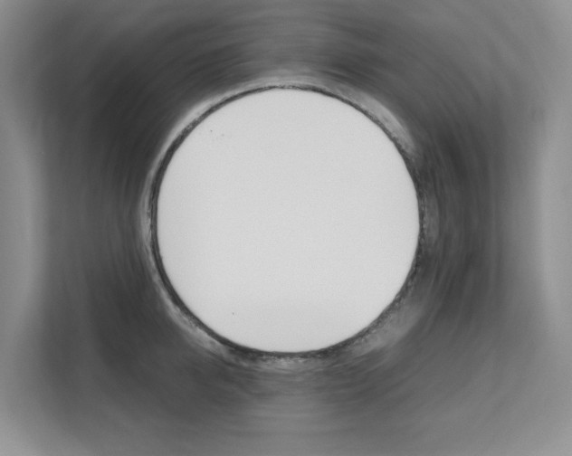 X0000111680950200907171502