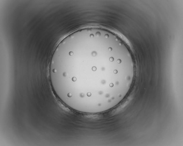X0000111680953200907171502