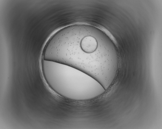 X0000111680955200907171502