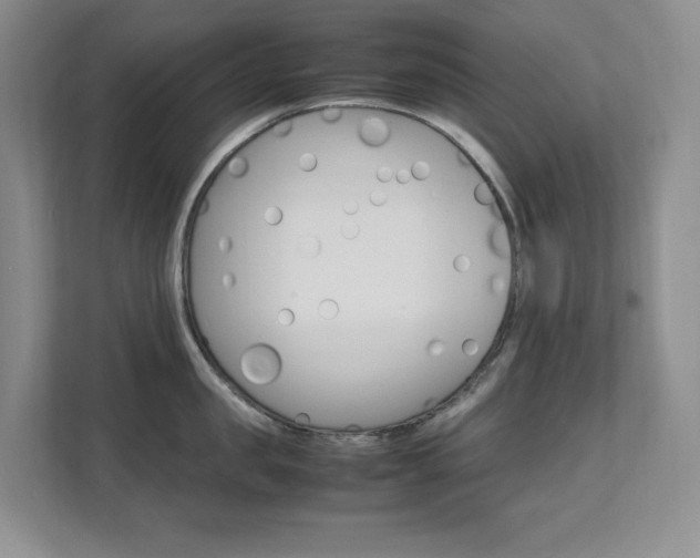 X0000111680957200907171502