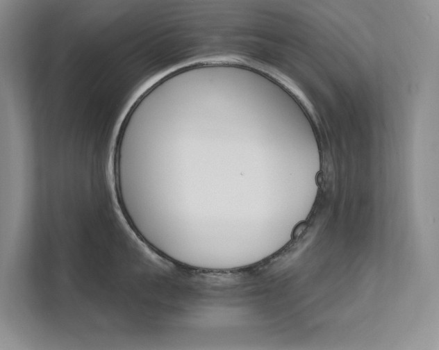 X0000111680959200907171502