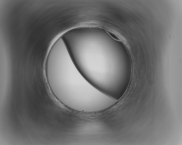 X0000111680960200907171502