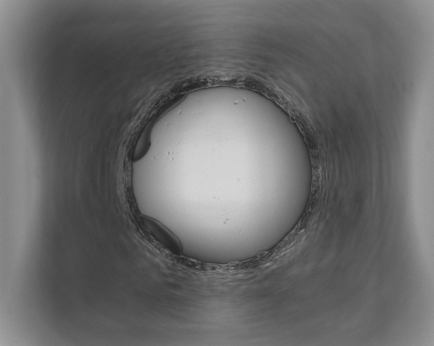 X0000111680961200907171501