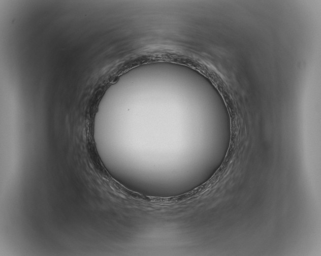 X0000111680965200907171501