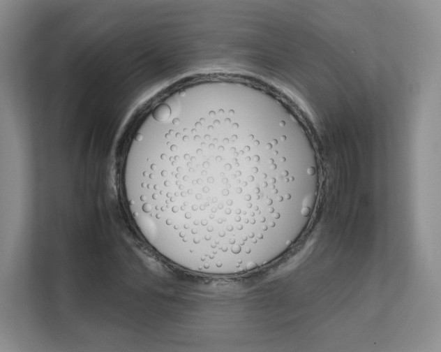 X0000111680974200907171501