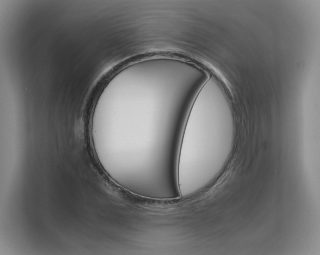 X0000111680975200907171501