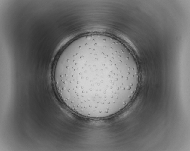 X0000111680978200907171501