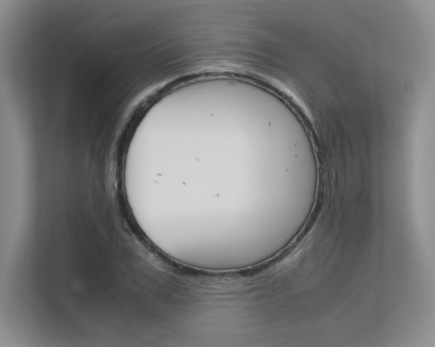 X0000111680979200907171501