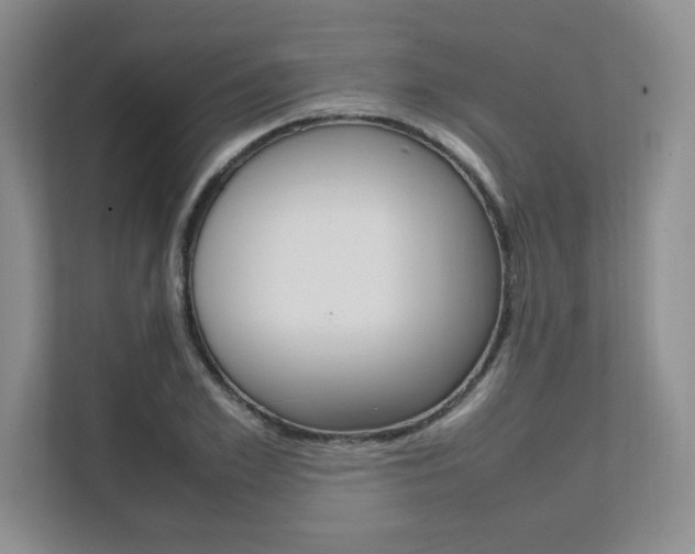 X0000111680981200907171501
