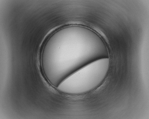 X0000111680984200907171501