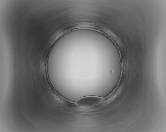 X0000111680985200907171501