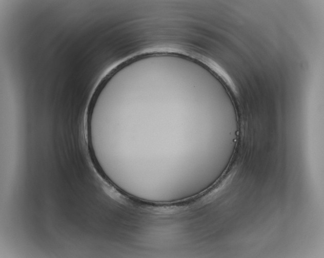 X0000111680988200907171501